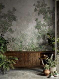 two potted plants sit in front of a wallpapered area with trees and foliage