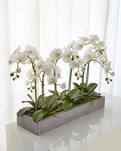 three white orchids in a concrete planter on a table