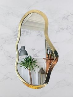 a mirror that is on the wall near a potted plant and a light fixture