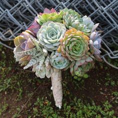 a bouquet of succulents sits on the ground next to a wire fence