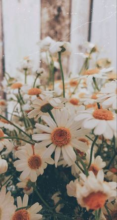 a bunch of white and orange flowers in a vase