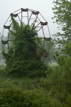 an abandoned ferris wheel surrounded by trees and bushes