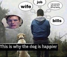 a man sitting on top of a bench next to a dog with speech bubbles above his head