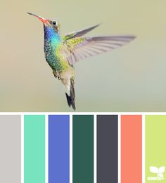 a hummingbird flying in the sky with color swatches