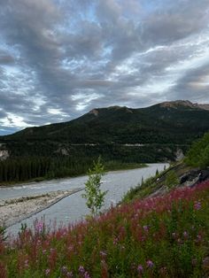 a river flowing through a lush green forest filled with flowers under a cloudy blue sky