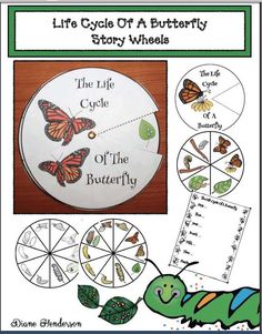 the life cycle of a butterfly story wheels