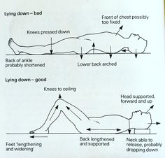 Alexander Method, Alexander Technique, Piriformis Stretch, Musculoskeletal Pain, Back Pain Remedies, Stretching Exercises, Good Posture