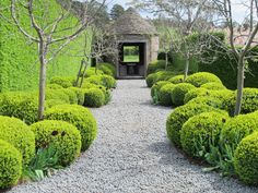 a stone path leads to an open door in the middle of some bushes and trees