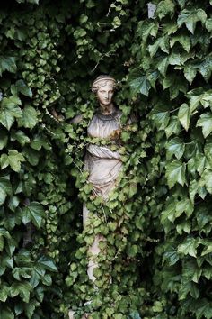 a statue is surrounded by green leaves