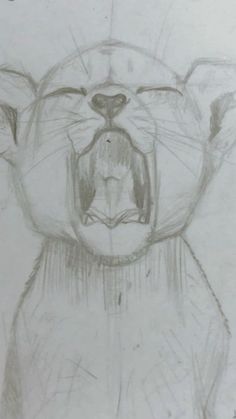 a drawing of a cat with its mouth open