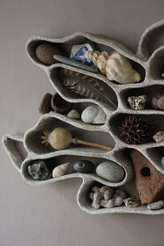 there are many different rocks in the shape of a tree on this wall, including shells and seashells