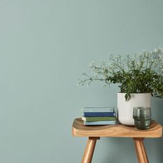 a wooden table topped with a potted plant and books