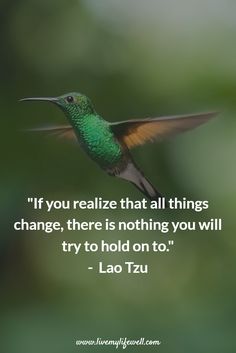 a green hummingbird flying through the air with a quote from lao tzu on it