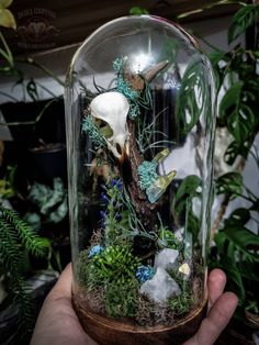 a hand holding a glass dome filled with plants and animals in the middle of it