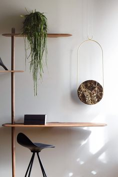 a shelf with some plants on top of it