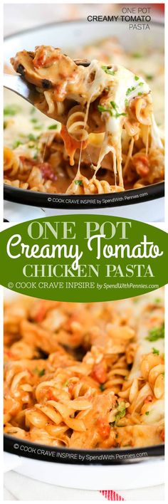 one pot creamy tomato chicken pasta