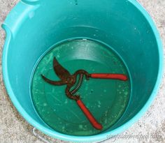 a blue bucket filled with green liquid and two red hoses in the middle of it