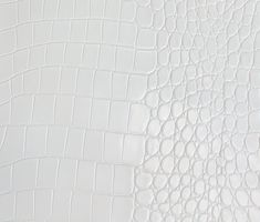 white alligator skin textured up close to the surface