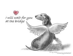 a drawing of a dog with wings on it's back and the words i will wait for you at the bridge