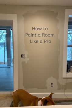 a brown and white dog standing in front of a wall with words on it that read how to paint a room like a pro