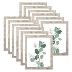 four framed pictures with green leaves on them, one is white and the other is beige