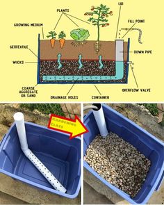 the diagram shows how to build a garden pond with plants and water features in it