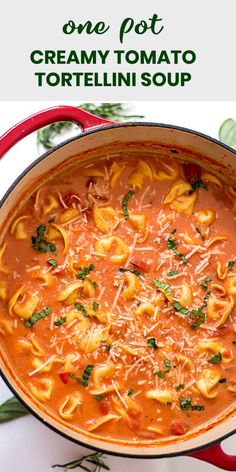 one pot creamy tomato tortellini soup in a red skillet