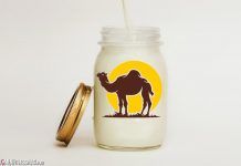 a jar with a straw and a camel on it