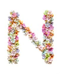 the letter n is made up of small flowers