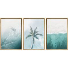 three framed art pieces depicting the ocean and palm trees