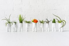 a row of white vases filled with plants on top of a table next to a wall