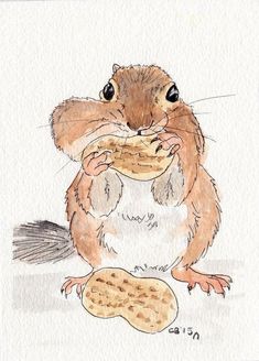 a watercolor and ink drawing of a chipmun eating a peanut butter biscuit