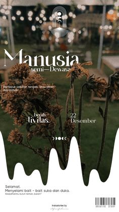 the front cover of manusia magazine, featuring an image of a plant with brown flowers