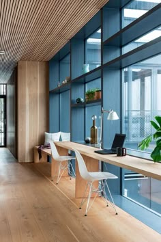 an office with blue walls and wooden flooring, two white chairs are facing the desk