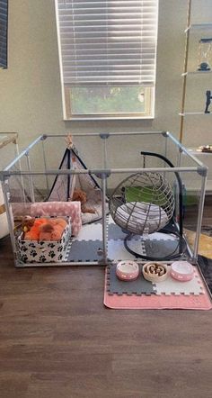 two cages with food in them sitting on the floor next to a window and rug