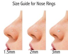 the size guide for nose rings