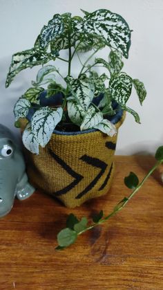 a potted plant sitting on top of a wooden table next to an elephant figurine