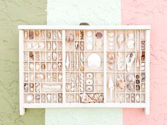 a white shelf filled with lots of different types of shells on top of a pink and green wall