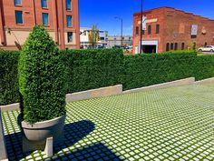 a large potted plant sitting on top of a green tiled floor next to tall buildings