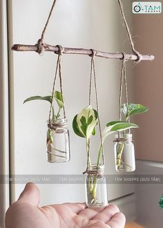 three mason jars with plants hanging from them