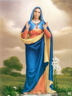 an image of the immaculate mary