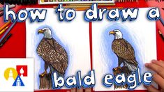 how to draw a bald eagle with colored pencils