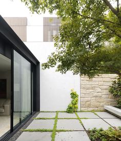 an outdoor area with grass and plants on the ground