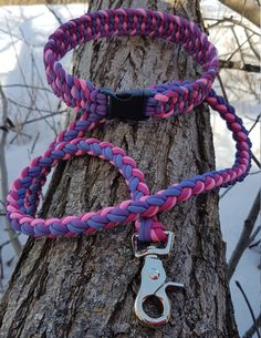 two pink and purple leashes are attached to a tree