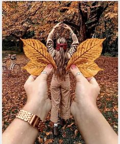 a person holding up a yellow leaf in front of a tree