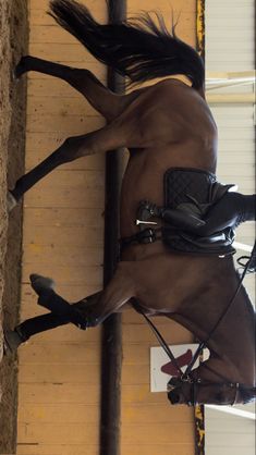 a person riding on the back of a brown horse