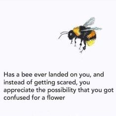 a bee flying through the air with a quote below it that reads, has a bee ever landed on you, and instead of getting scared, you appreciate