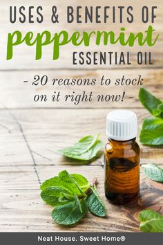 Peppermint oil is very versatile. Use it to deodorize your home, and treat common ailments. Here are 20 peppermint oil uses and its benefits. #peppermintoil #pepperminteo #homeremedies #neathousesweethome Pepermint Oil, Peppermint Essential Oil Benefits, Peppermint Essential Oil Uses, Peppermint Oil Uses, Peppermint Oil Benefits, Peppermint Tea Benefits, Motherhood Lifestyle, Natural Cold Remedies