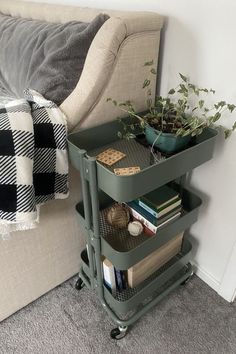 a living room with a couch and book shelf next to a plant on the floor