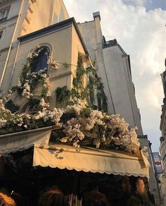 an old building with white flowers on it